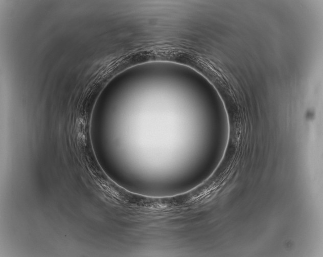 X0000096381010200801241232