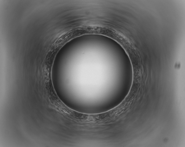 X0000096381013200801241232