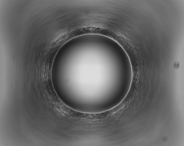 X0000096381014200801241232