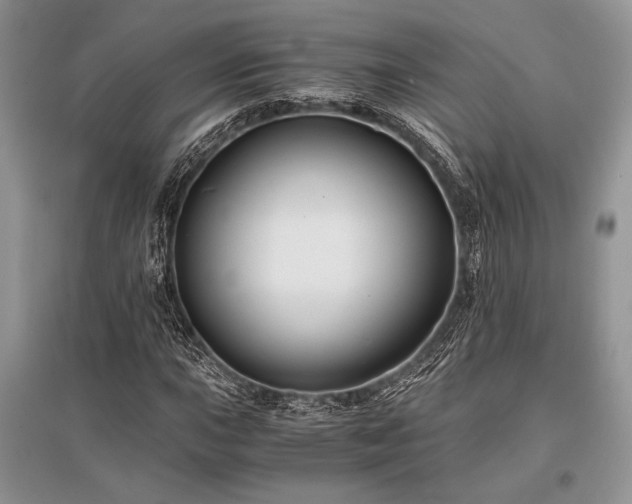 X0000096381015200801241232