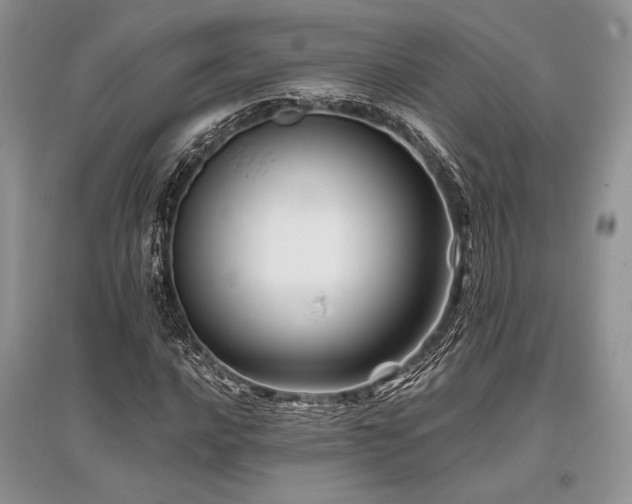 X0000096381016200801241232