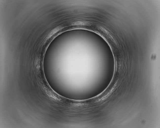 X0000096381017200801241232