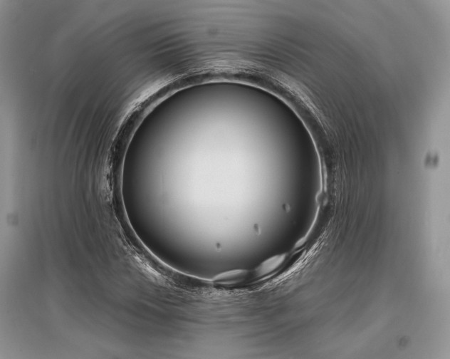 X0000096381018200801241232