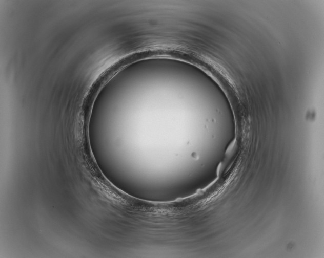 X0000096381021200801241232