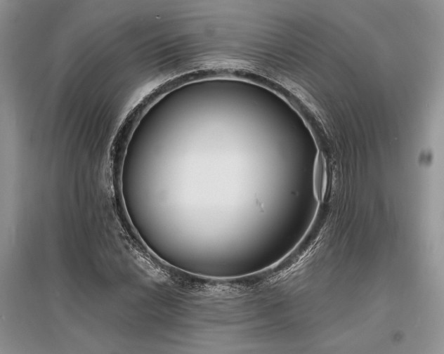 X0000096381022200801241232
