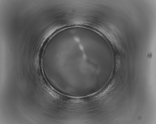 X0000096381023200801241232