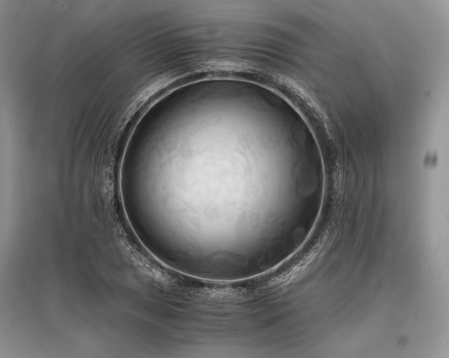 X0000096381025200801241232