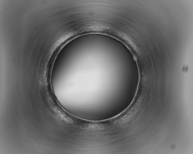 X0000096381026200801241232