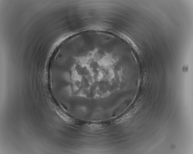X0000096381027200801241232