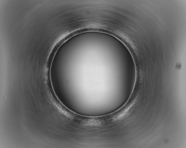 X0000096381029200801241232