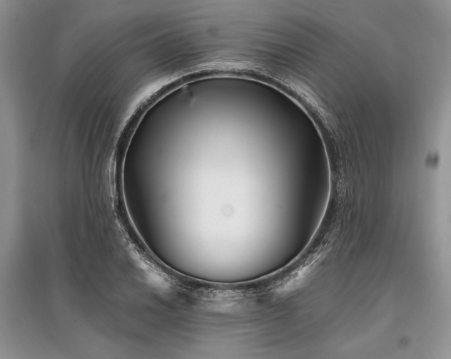 X0000096381030200801241232