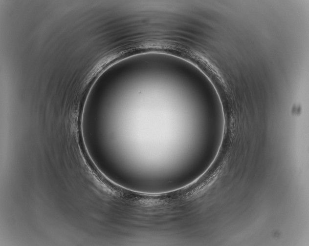 X0000096381033200801241232