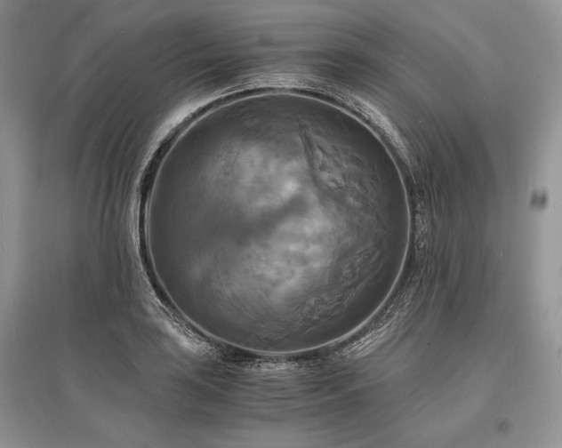 X0000096381035200801241232