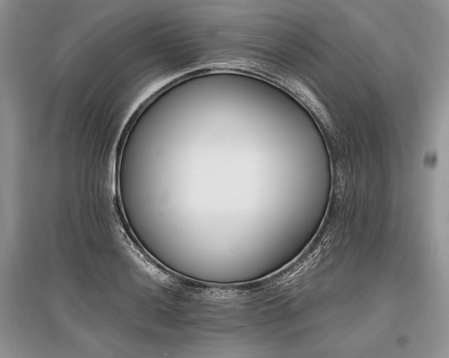 X0000096381036200801241232