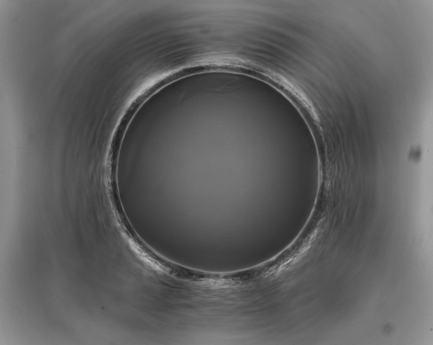 X0000096381037200801241232