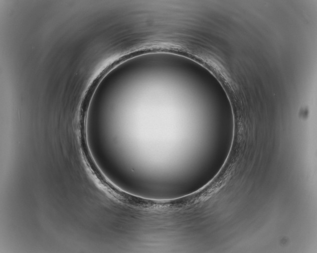 X0000096381038200801241232