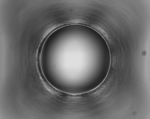 X0000096381039200801241232