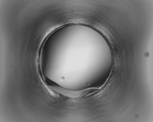 X0000096381040200801241232