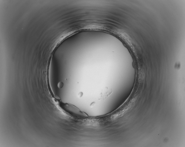 X0000096381041200801241232