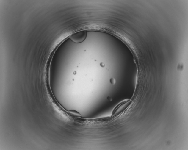 X0000096381042200801241232