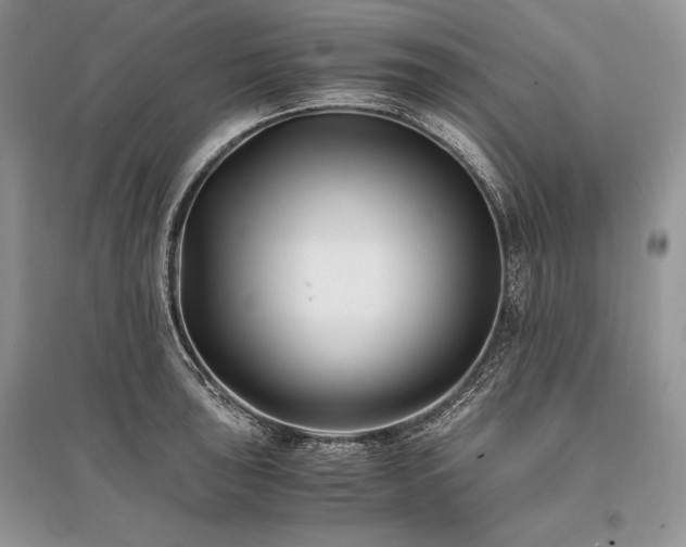 X0000096381043200801241232
