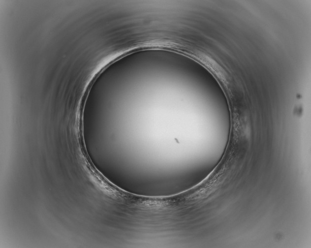 X0000096381044200801241232