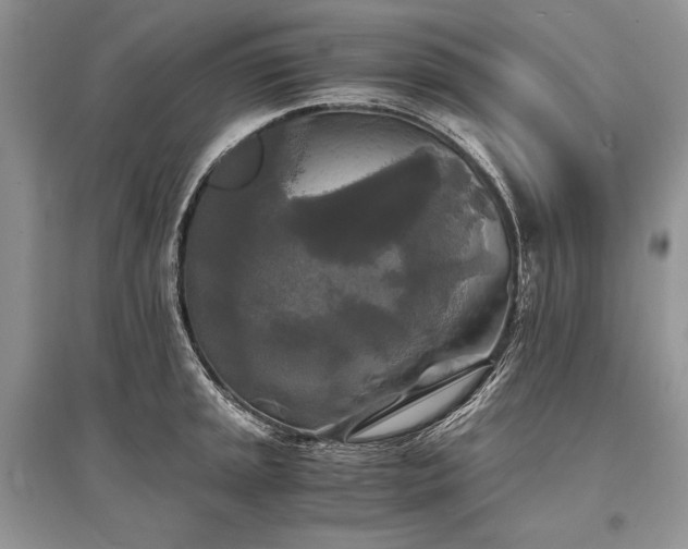 X0000096381045200801241232