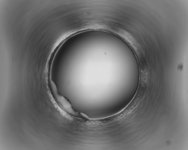 X0000096381046200801241232
