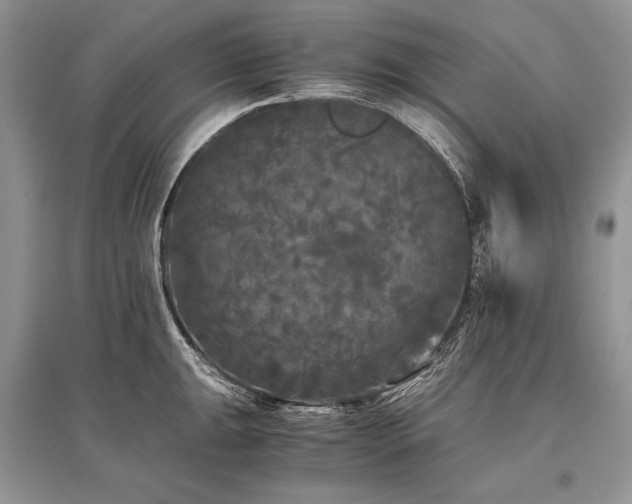 X0000096381047200801241232