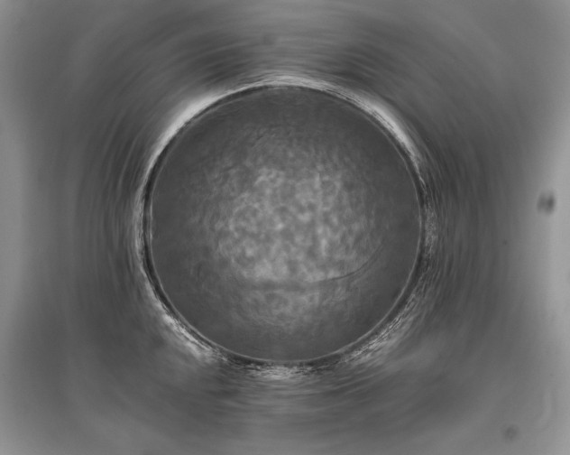 X0000096381048200801241232