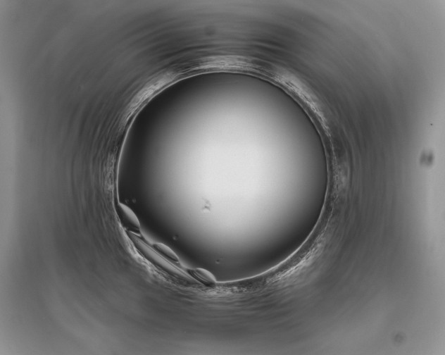 X0000096381049200801241232