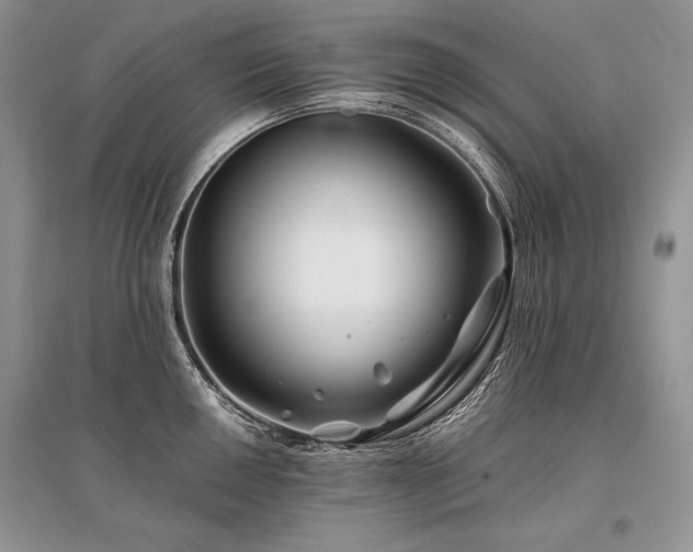 X0000096381050200801241232