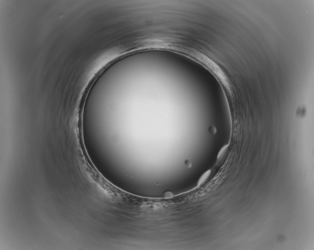 X0000096381051200801241232
