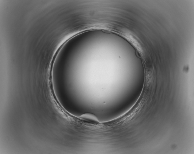 X0000096381052200801241232