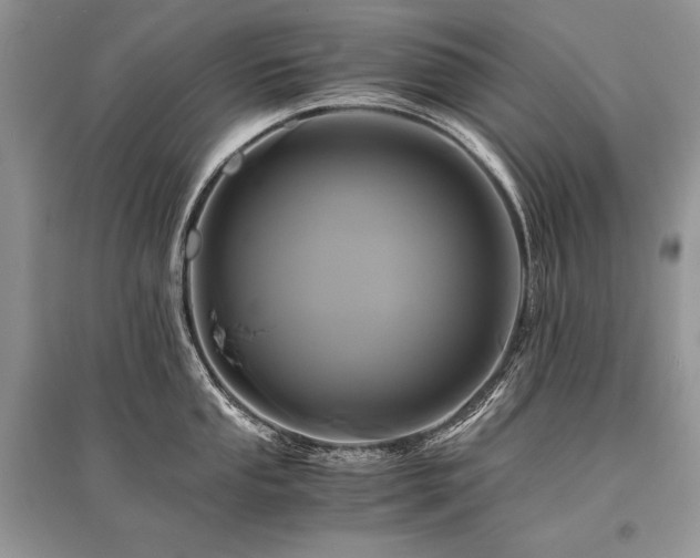 X0000096381053200801241232