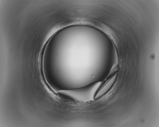 X0000096381054200801241232