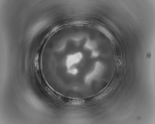 X0000096381055200801241232
