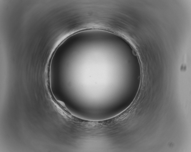 X0000096381056200801241232