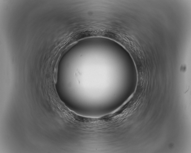 X0000096381057200801241232