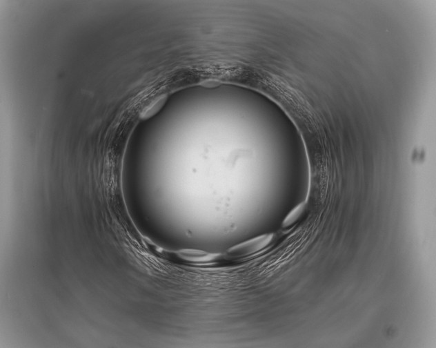 X0000096381058200801241232