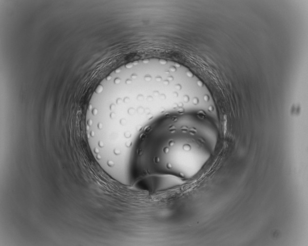 X0000096381059200801241232