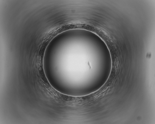 X0000096381062200801241231