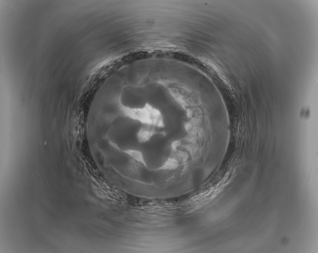 X0000096381063200801241231