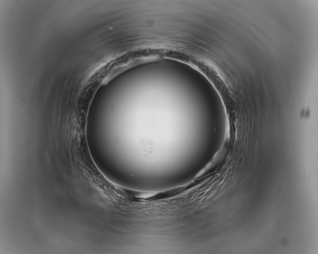 X0000096381064200801241231