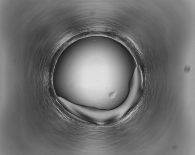 X0000096381065200801241231