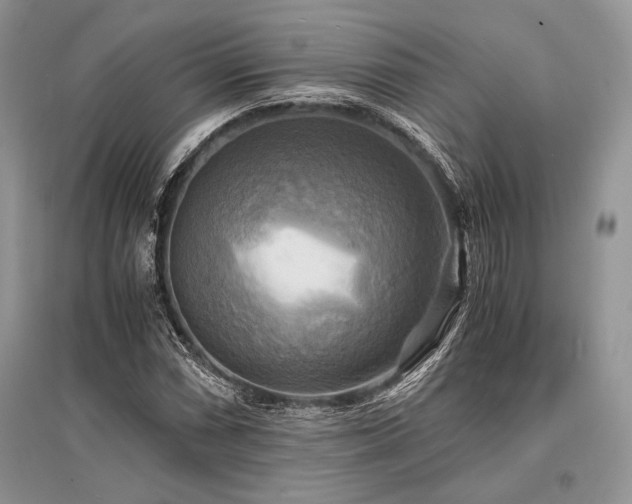 X0000096381066200801241231