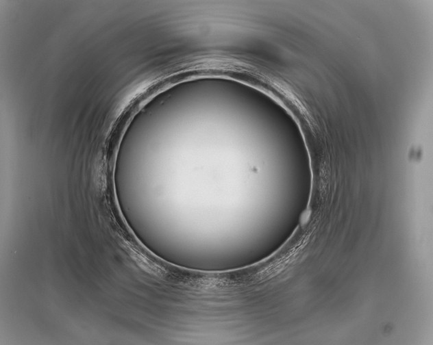 X0000096381067200801241231