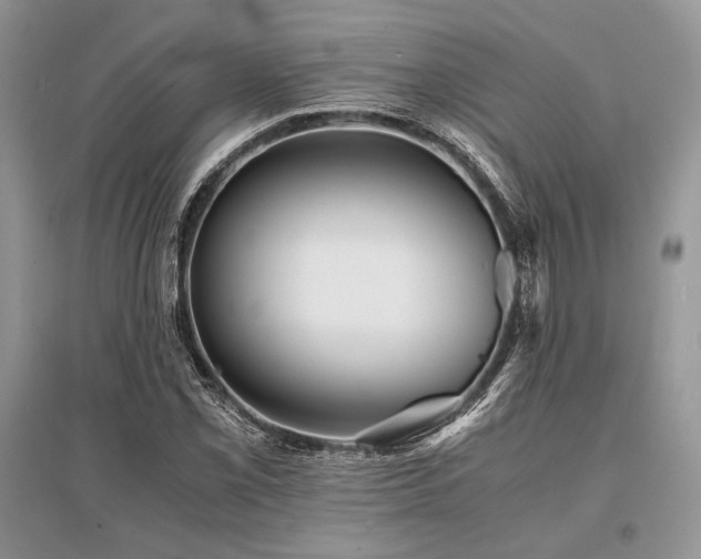 X0000096381069200801241231
