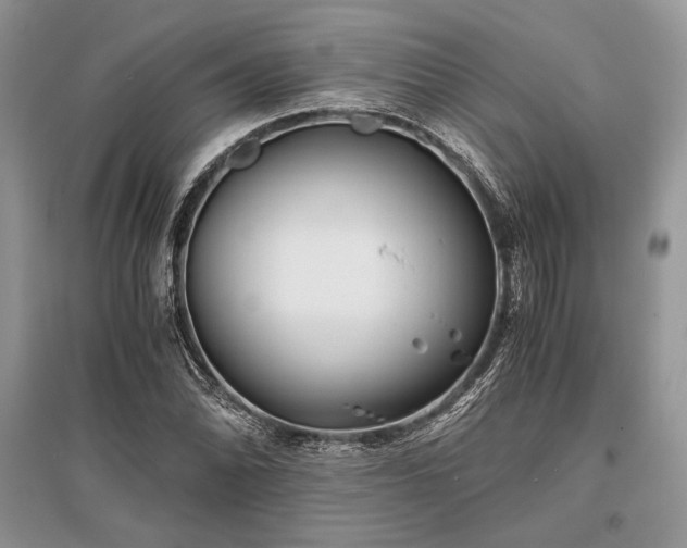 X0000096381070200801241231