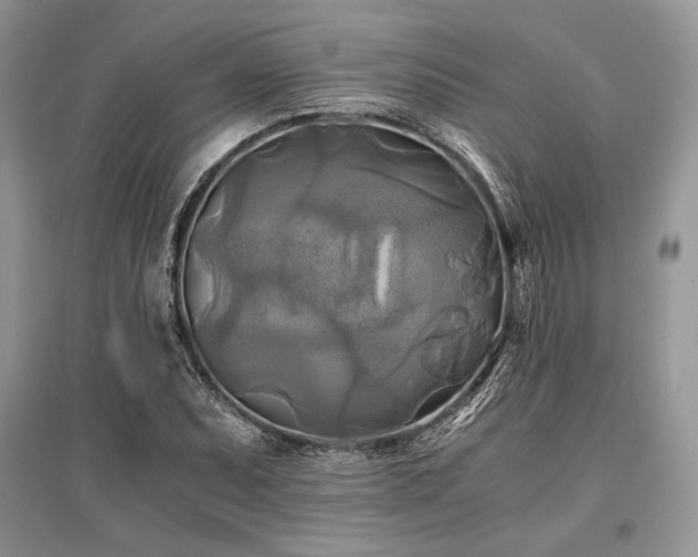 X0000096381071200801241231
